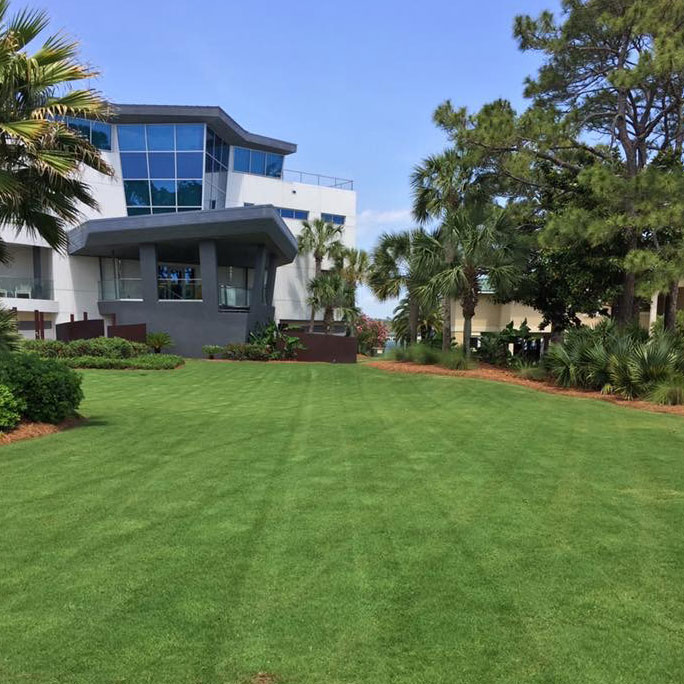 Turf and Lawn Care