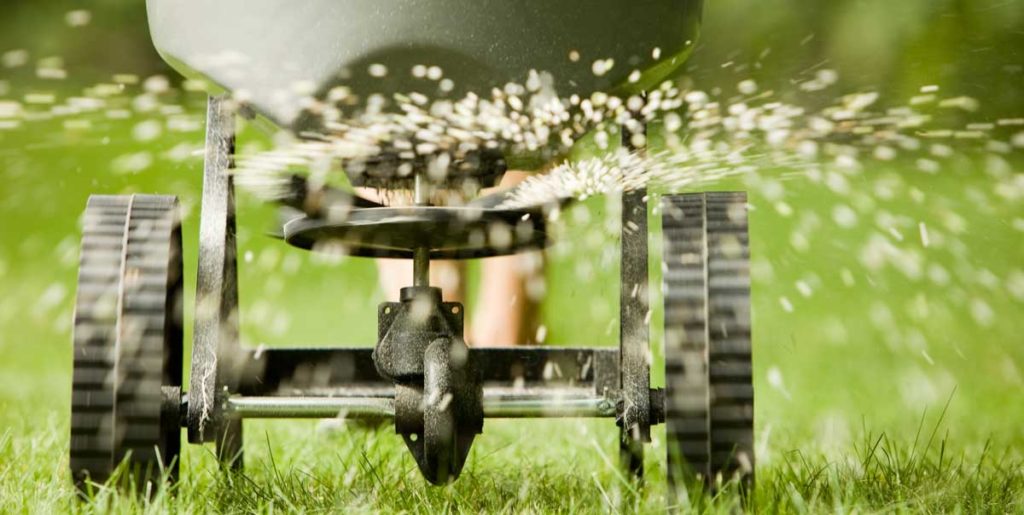 5 Common Lawn Care Mistakes